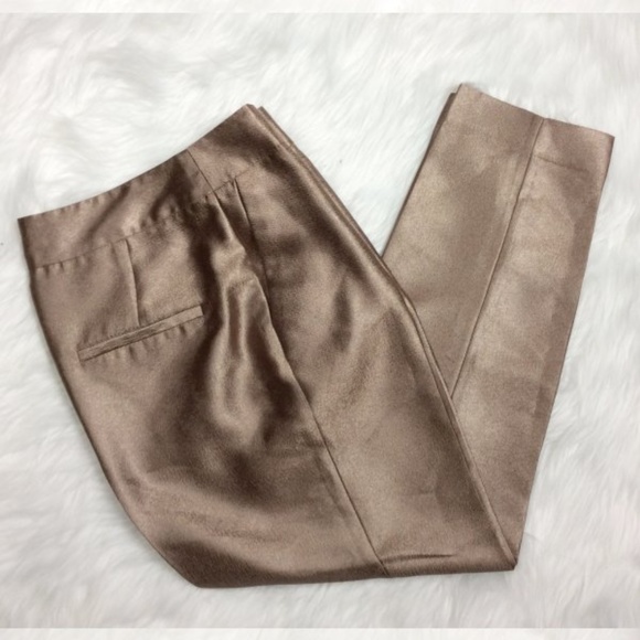 Zara Pants - Zara Basic Hi Rise Metalic Trouser. Size S EUC